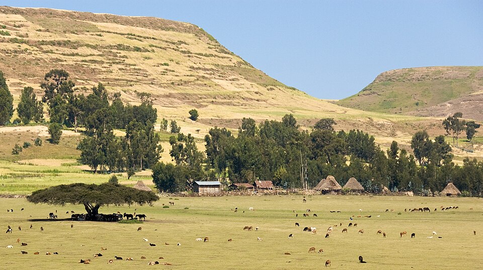 Simien Mountains