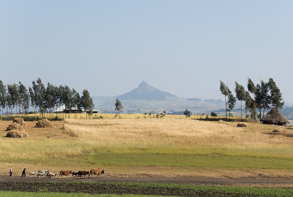 Simien Mountains